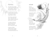 Big Amazing Poetry Book - 1st Ed. Signed & Illustrated by Chris Riddell