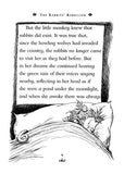 Rabbits' Rebellion - by Ariel Dorfman, Signed & Illustrated by Chris Riddell