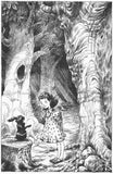 9781846883965 The Castle of Inside Out - by David Henry Wilson, Signed & Illustrated by Chris Riddell