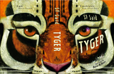 TYGER - Signed by SF Said, Illustrated by Dave McKean