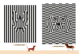 A Dog's Guide to Art - Signed Copy, by Joy Fitzsimmons