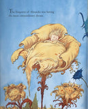 The Emperor of Absurdia - Signed by Chris Riddell