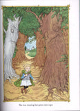 Once Upon a Wild Wood - Signed by Chris Riddell